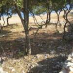 , Kroatien