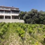 , Kroatien