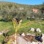 , Kroatien