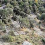 , Kroatien